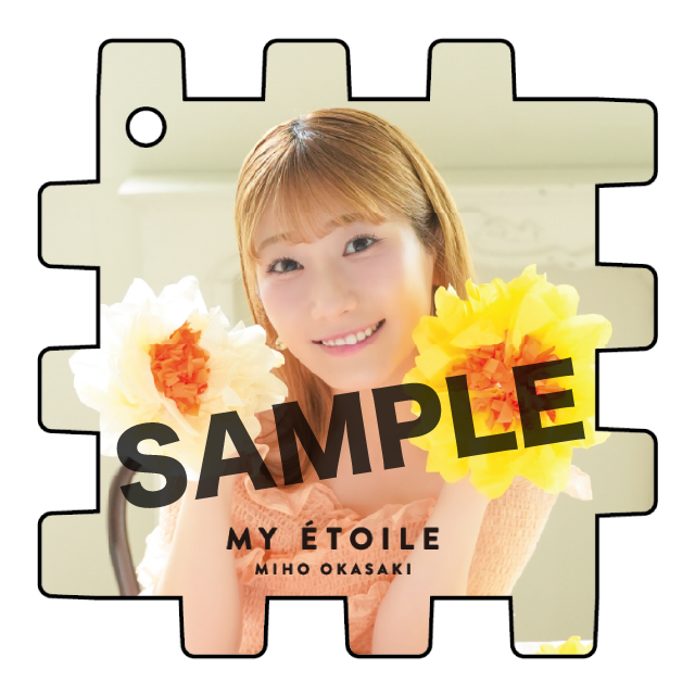 (全12種)  の画像